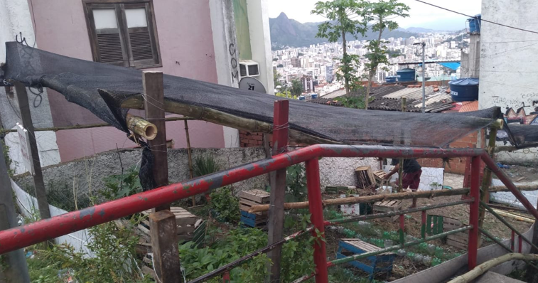 Favela Garden: potencialização e restauração de horta