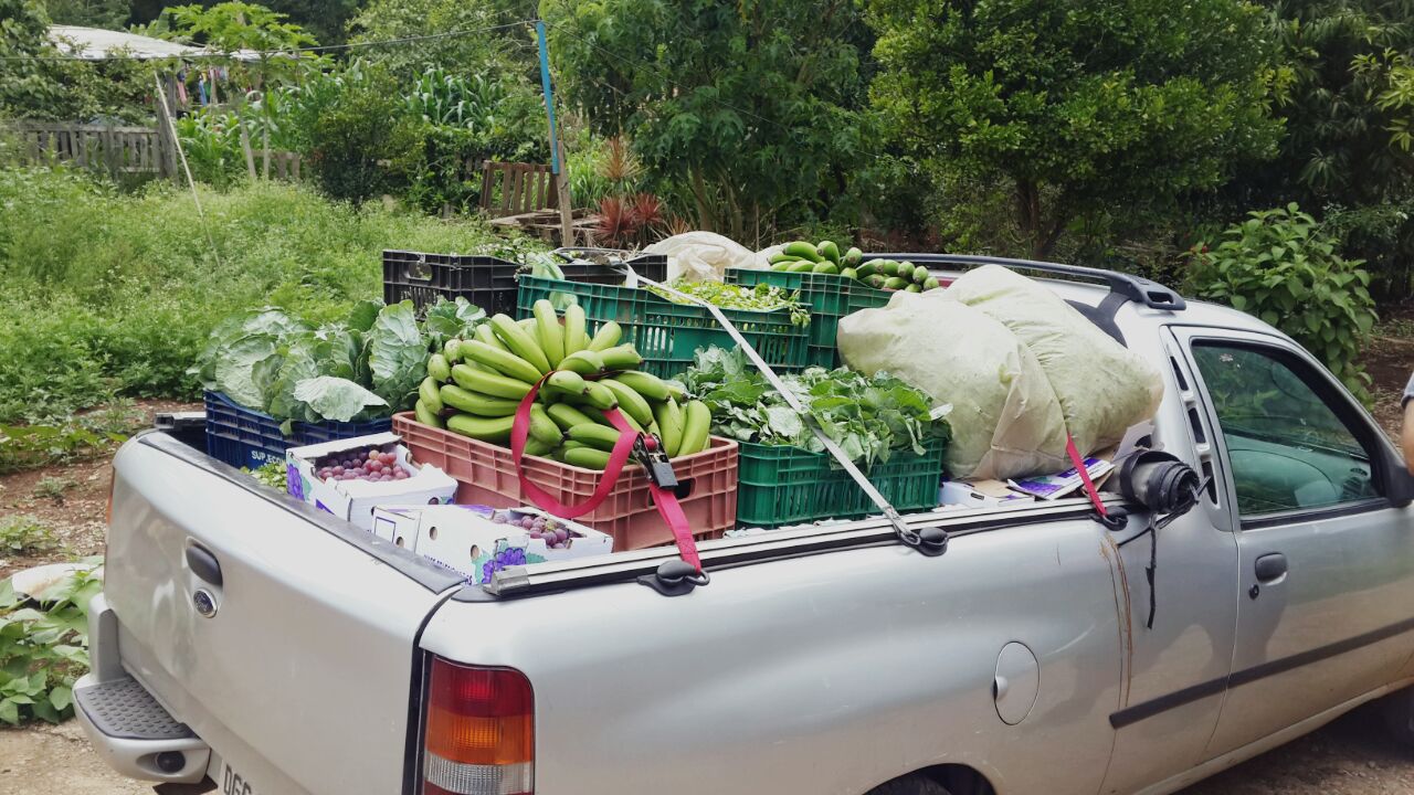 Cidade Agroecológica - mais de 500 cestas de alimentos distribuídas